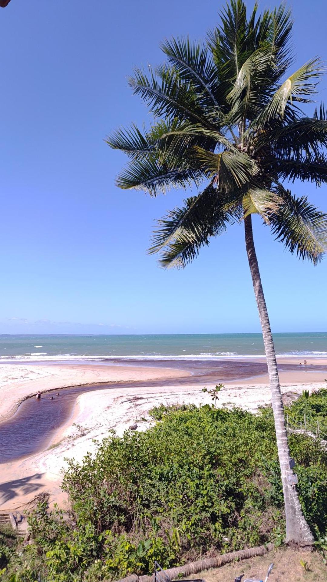 Paraiso Beach Hostel E Pousada Santa Cruz Cabralia Ngoại thất bức ảnh